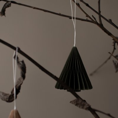 Papier-Tannenbaum, dbkd, moss