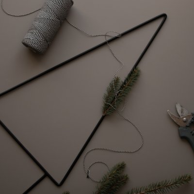 Eisentannenbaum, Garden Stick Tree, 2er Set, dbkd