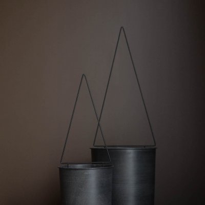 Eisentannenbaum, Garden Stick Tree, 2er Set, dbkd